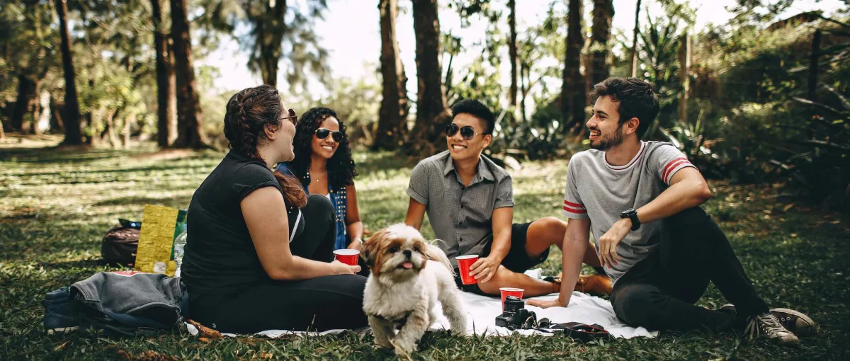 Picknick_progressive