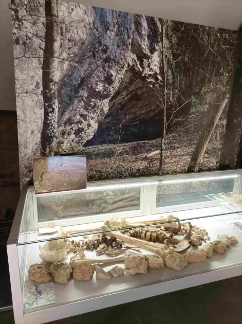 Musée archéologique de la Haute-Meuse