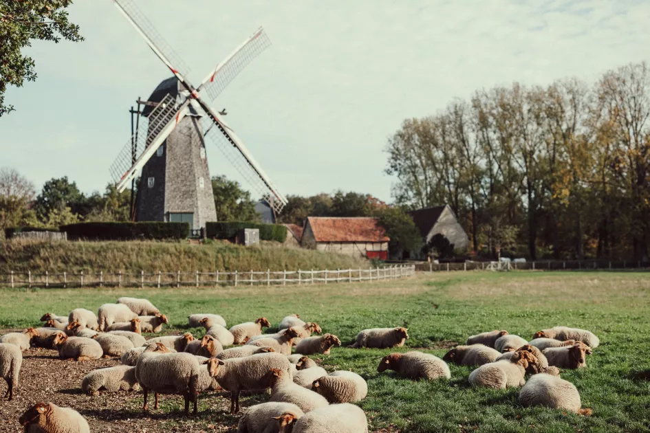 Bokrijk