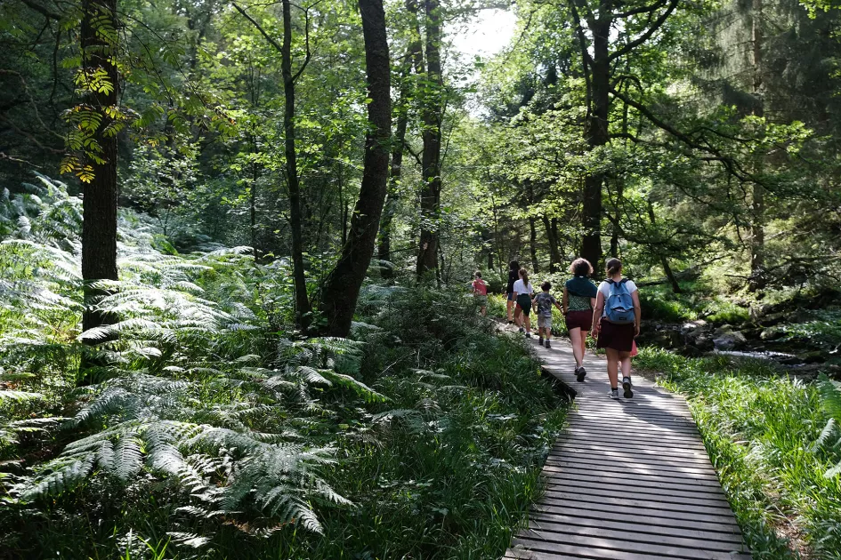 La vallée de la Hoëgne | De l’écume au pied des Fagnes
