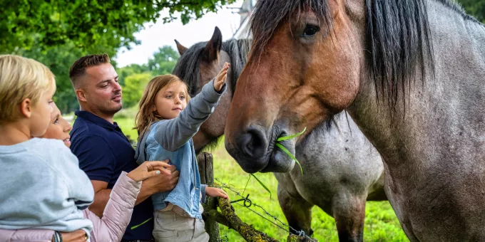 Musea waar je welkom bent met vuile schoenen