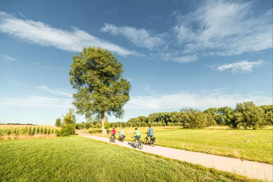 Leiestreek fietslus